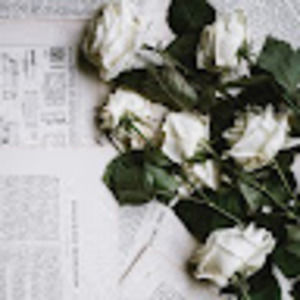 Meet your Posher, Joseline